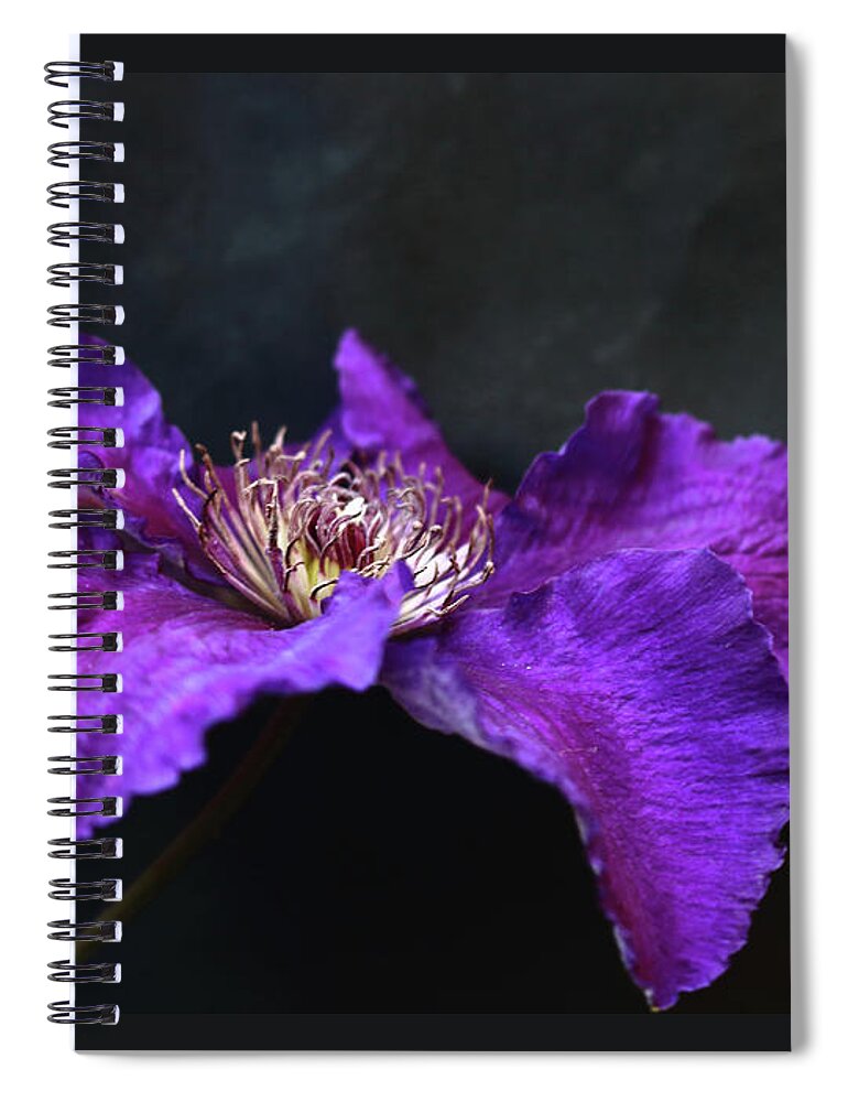 Flower Spiral Notebook featuring the photograph Purple and Blue Clematis by Jeff Townsend