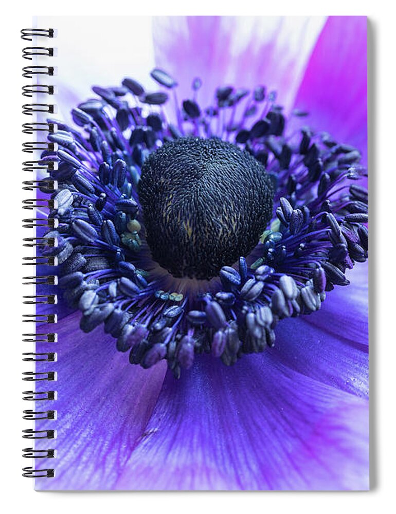 Anemone Spiral Notebook featuring the photograph Purple Anemone by Kristen Wilkinson