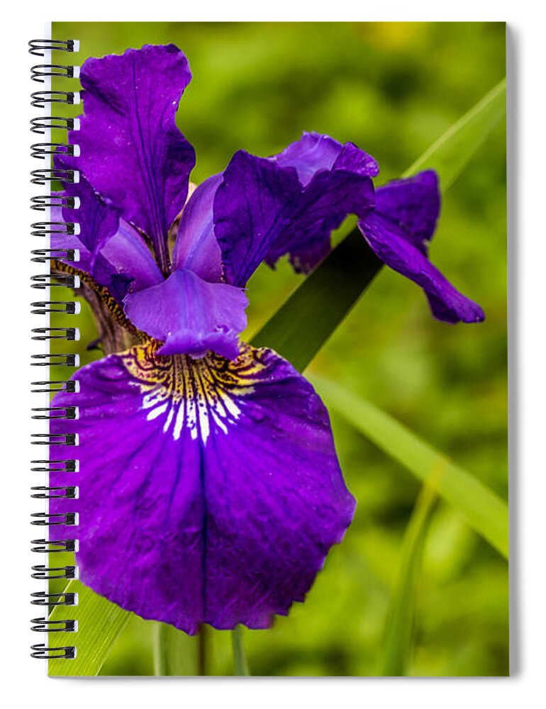 Purple Spiral Notebook featuring the photograph Purple Beauty by Ed Clark