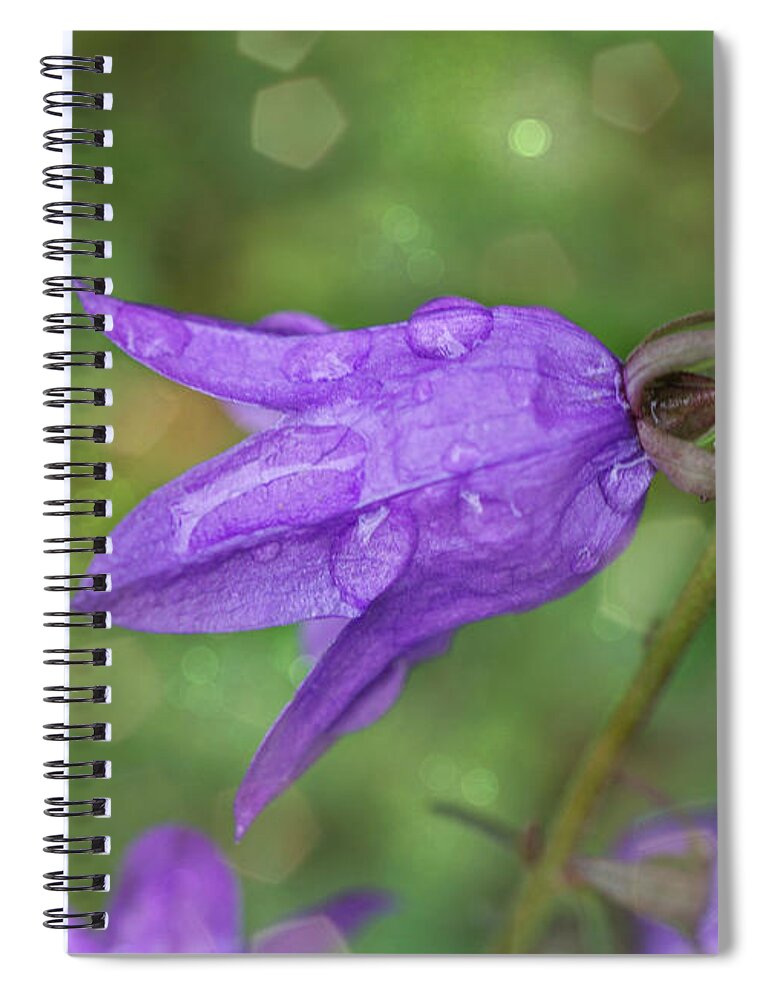 Flower Spiral Notebook featuring the photograph Purple Bells after rain by Lilia S