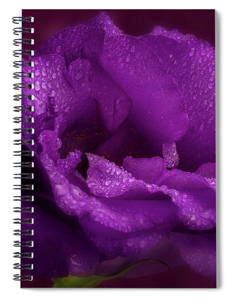 Flowers Spiral Notebook featuring the photograph Purple Blossom wit Morning Dew by Garry McMichael