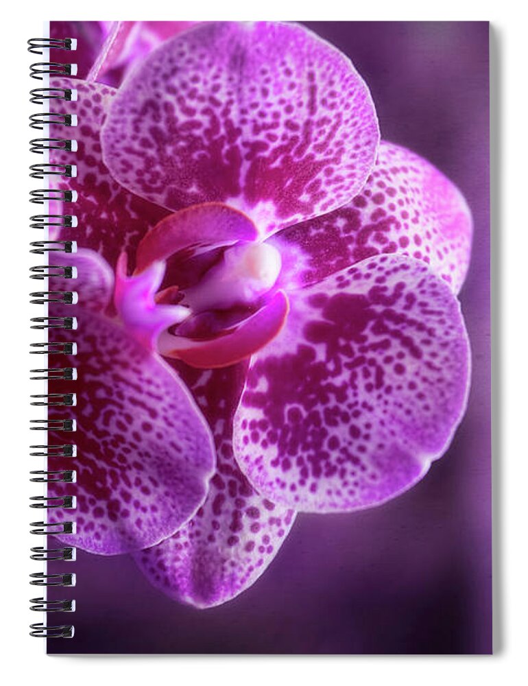 Orchids Spiral Notebook featuring the photograph Purple Bunch by Joan Bertucci