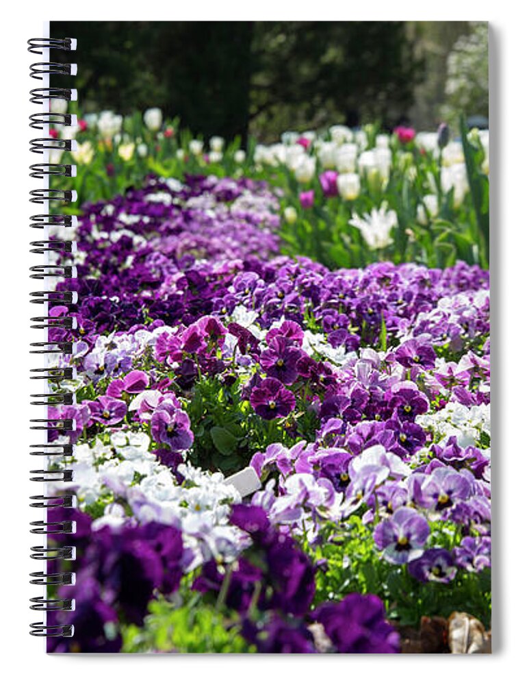 Flowers Spiral Notebook featuring the photograph Purple carpet by Agnes Caruso
