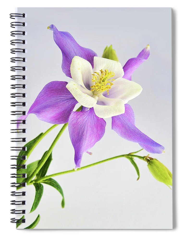 Aquilegia Spiral Notebook featuring the photograph Purple Columbine by Ann Bridges