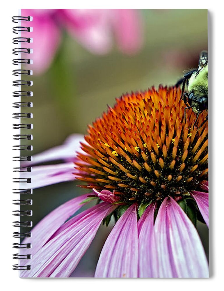 Macro Spiral Notebook featuring the photograph Purple Cone Flower and Bee by Al Mueller