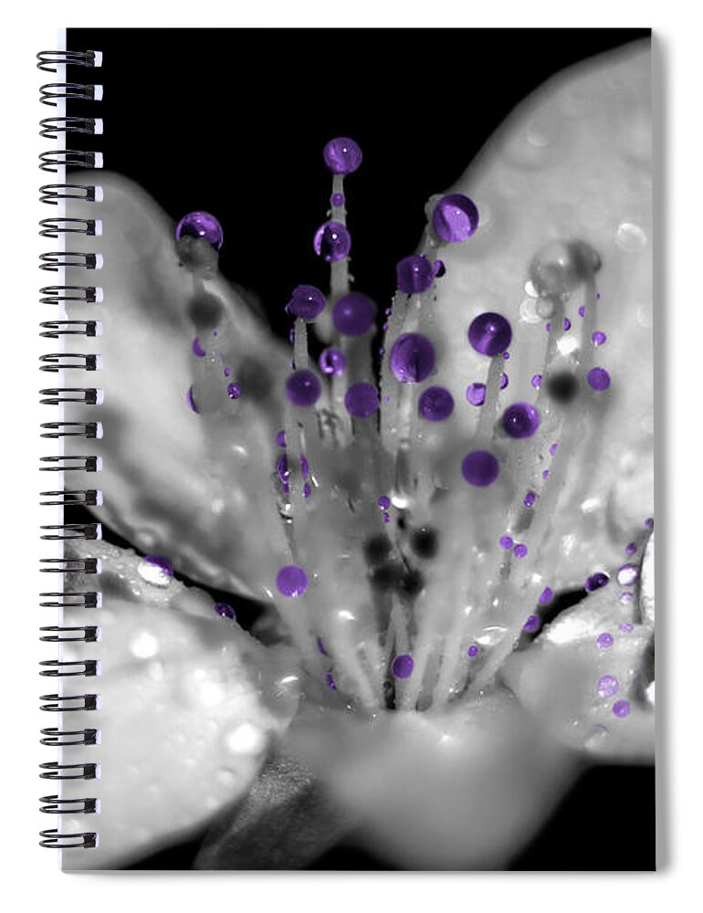 Composite Spiral Notebook featuring the photograph Purple drops by Wolfgang Stocker
