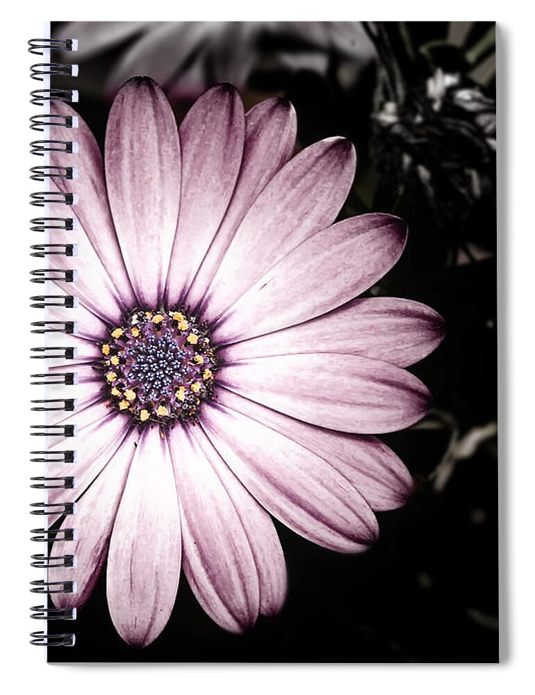 Flower Spiral Notebook featuring the photograph Purple Flower by Al Mueller