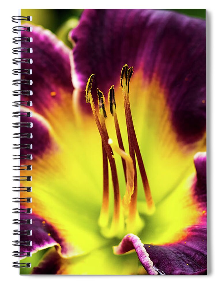 Beautiful Spiral Notebook featuring the photograph Purple Lily - Close Up by Penny Lisowski