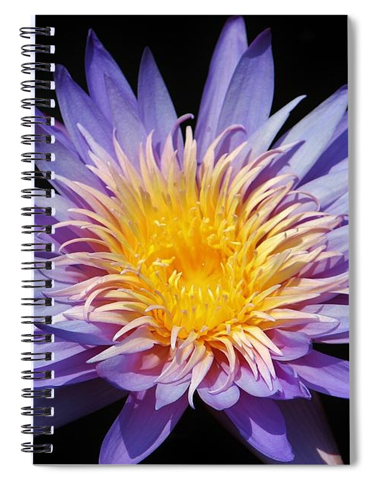 Flower Spiral Notebook featuring the photograph Purple Lotus by Cynthia Guinn