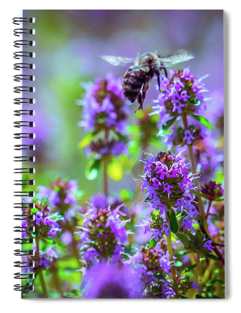 Meadow Spiral Notebook featuring the photograph Purple Meadow by Lilia S