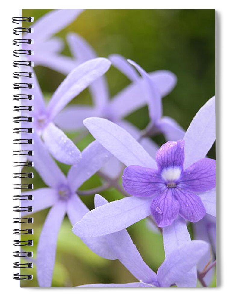 Kauai Spiral Notebook featuring the photograph Purple Orchids 1 by Amy Fose