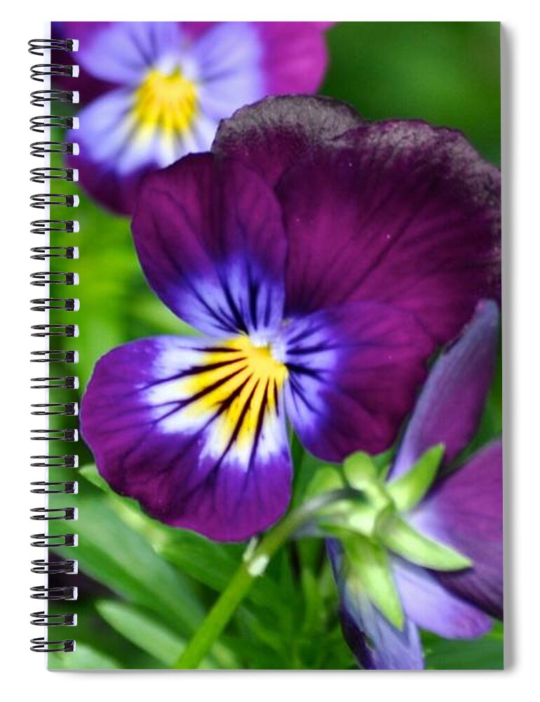Floral Spiral Notebook featuring the photograph Fancy Pansies by Emerita Wheeling