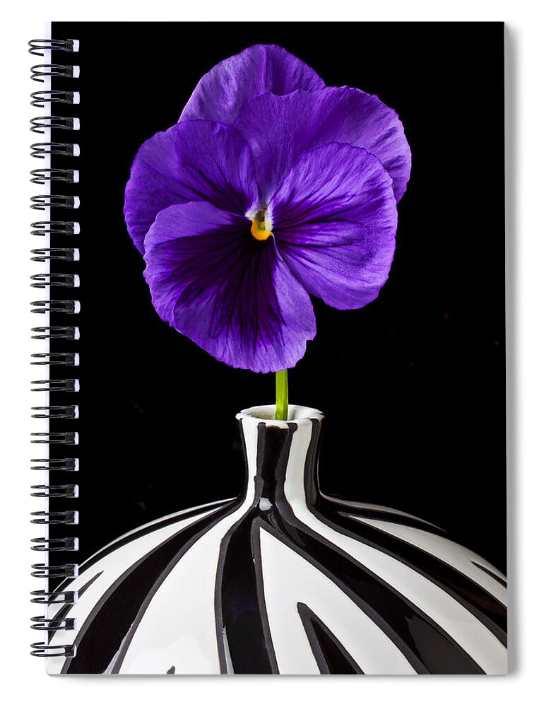 Purple Spiral Notebook featuring the photograph Purple Pansy by Garry Gay