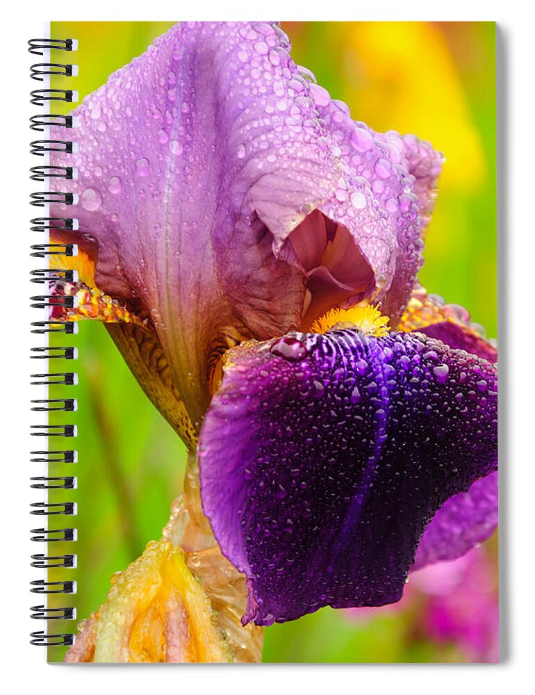 Oregon Spiral Notebook featuring the photograph Purple Passion by Roberta Kayne