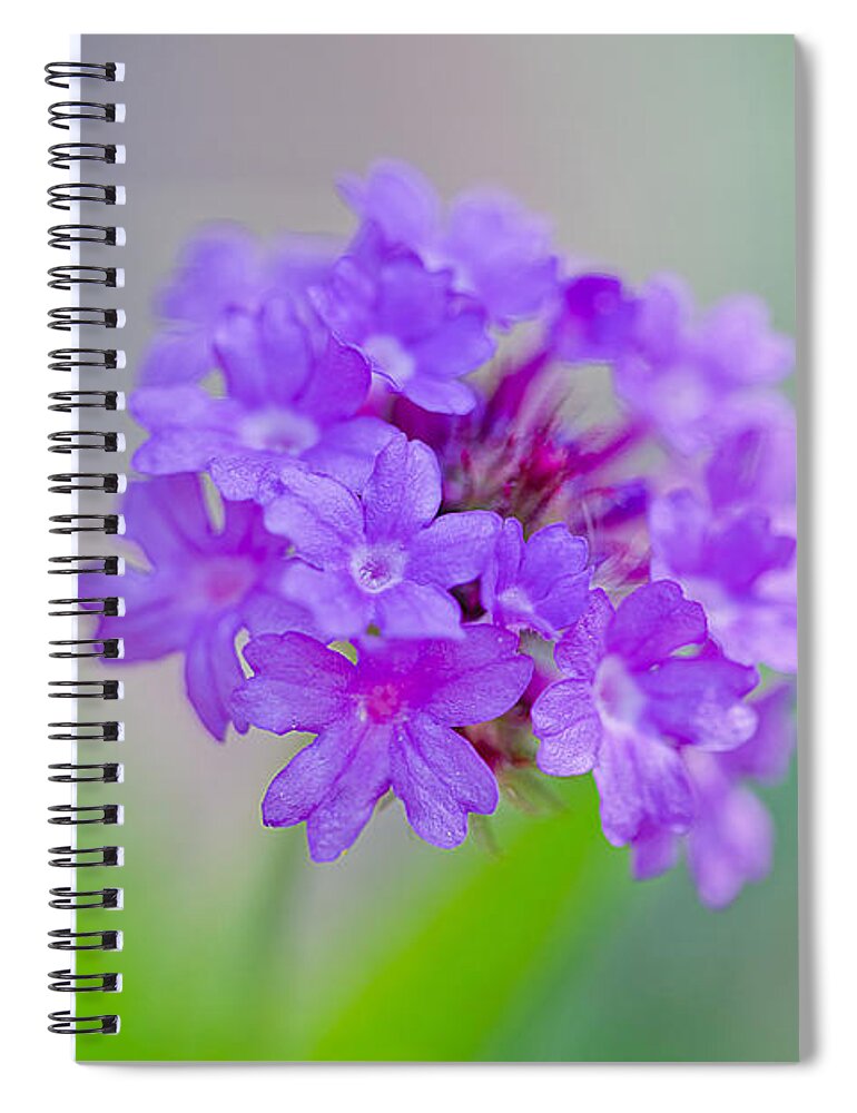 Nature Spiral Notebook featuring the photograph Purple Spring Flowers by Az Jackson