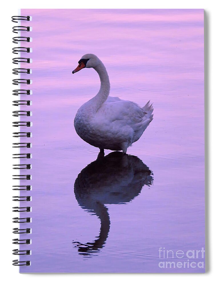 Swan Spiral Notebook featuring the photograph Purple Swan Reflection by Beth Myer Photography