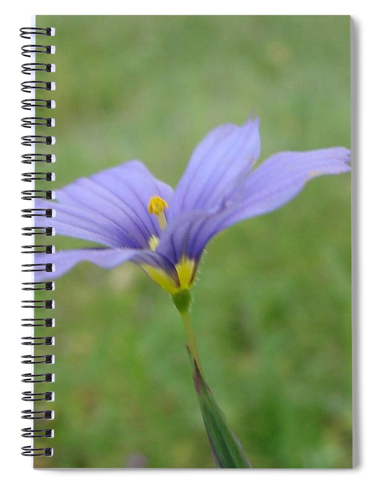 Purple Flower Spiral Notebook featuring the photograph Purple Wildflower by Liz Vernand