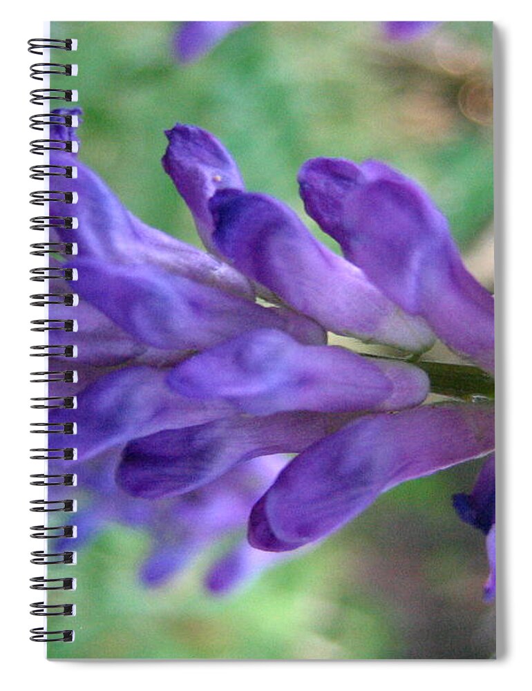 Flower Spiral Notebook featuring the photograph Purple Wildflower by Devorah Shoshanna