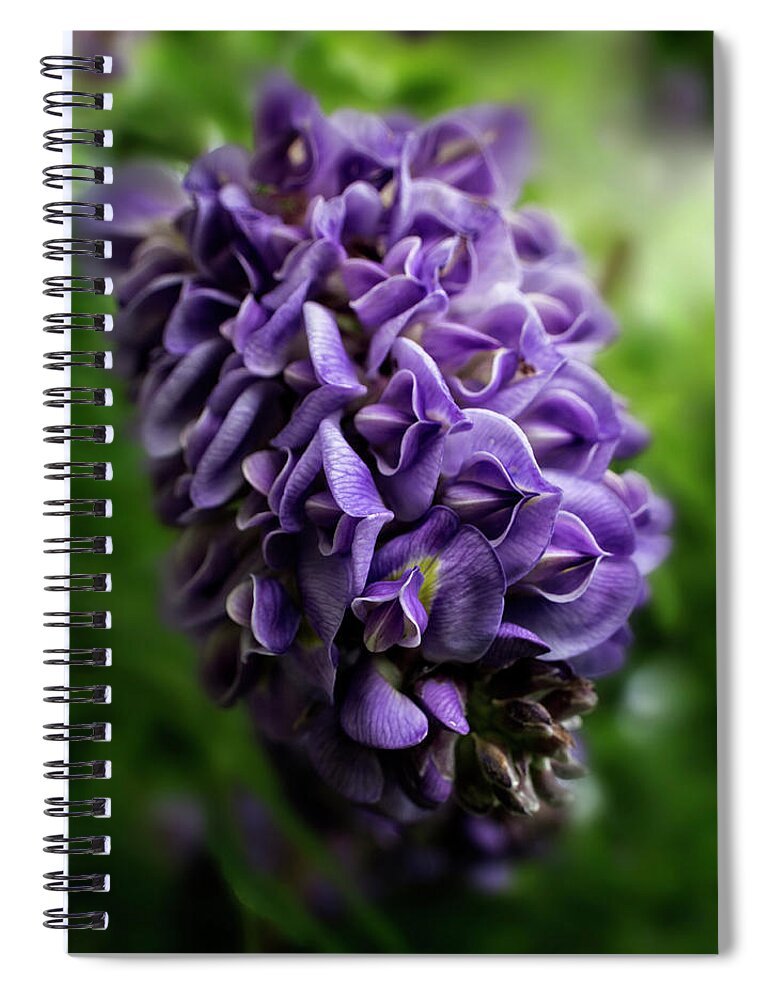 Wisteria Spiral Notebook featuring the photograph Purple Wisteria by Greg and Chrystal Mimbs