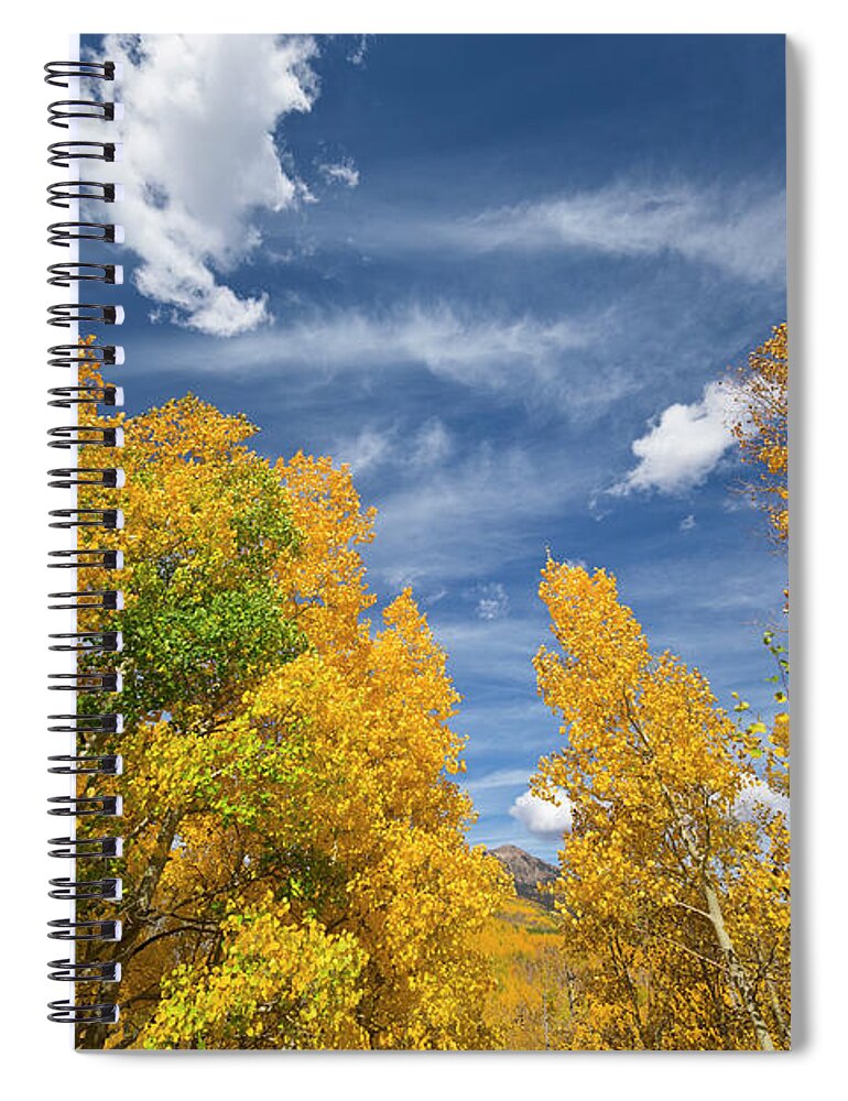 00559295 Spiral Notebook featuring the photograph Quaking Aspens in Autumn by Yva Momatiuk John Eastcott