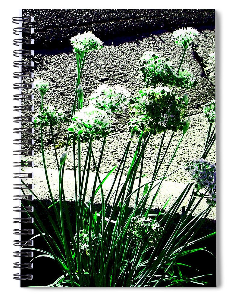 Abstract Spiral Notebook featuring the photograph Queen Anne's Lace by Lenore Senior