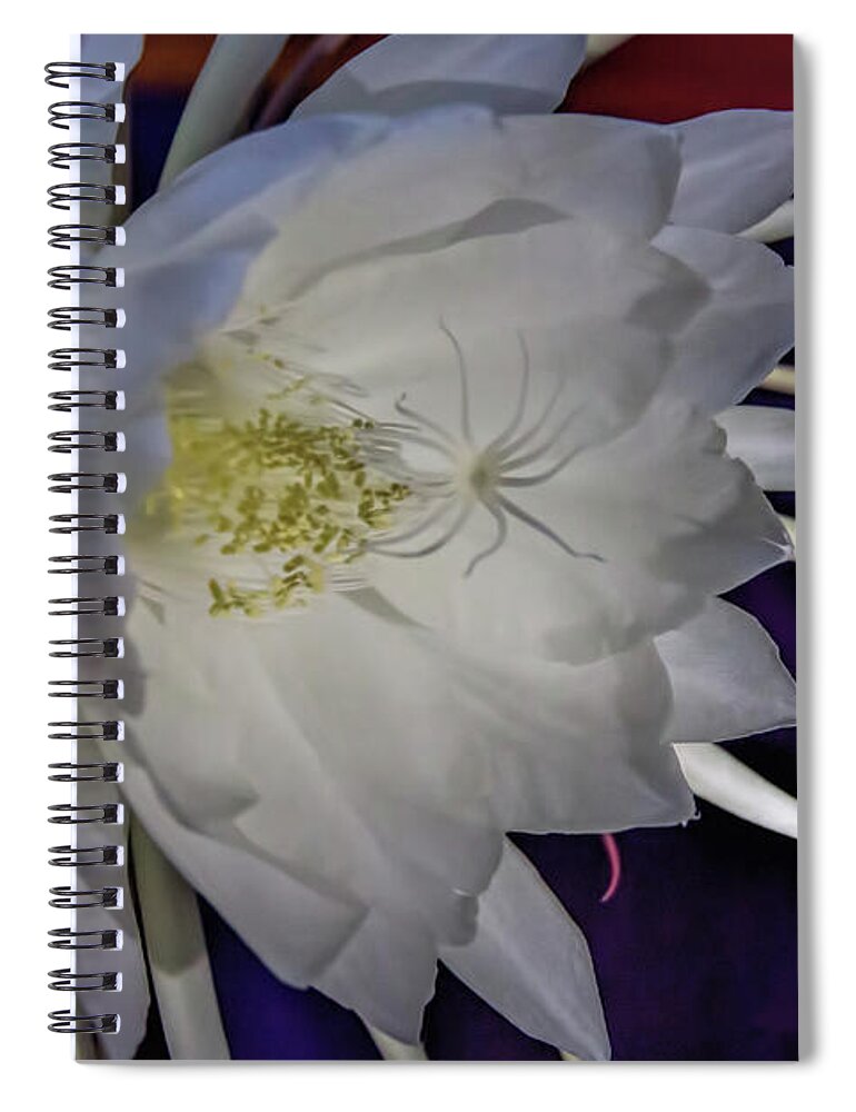Botanical Spiral Notebook featuring the photograph Queen's Night by Alana Thrower