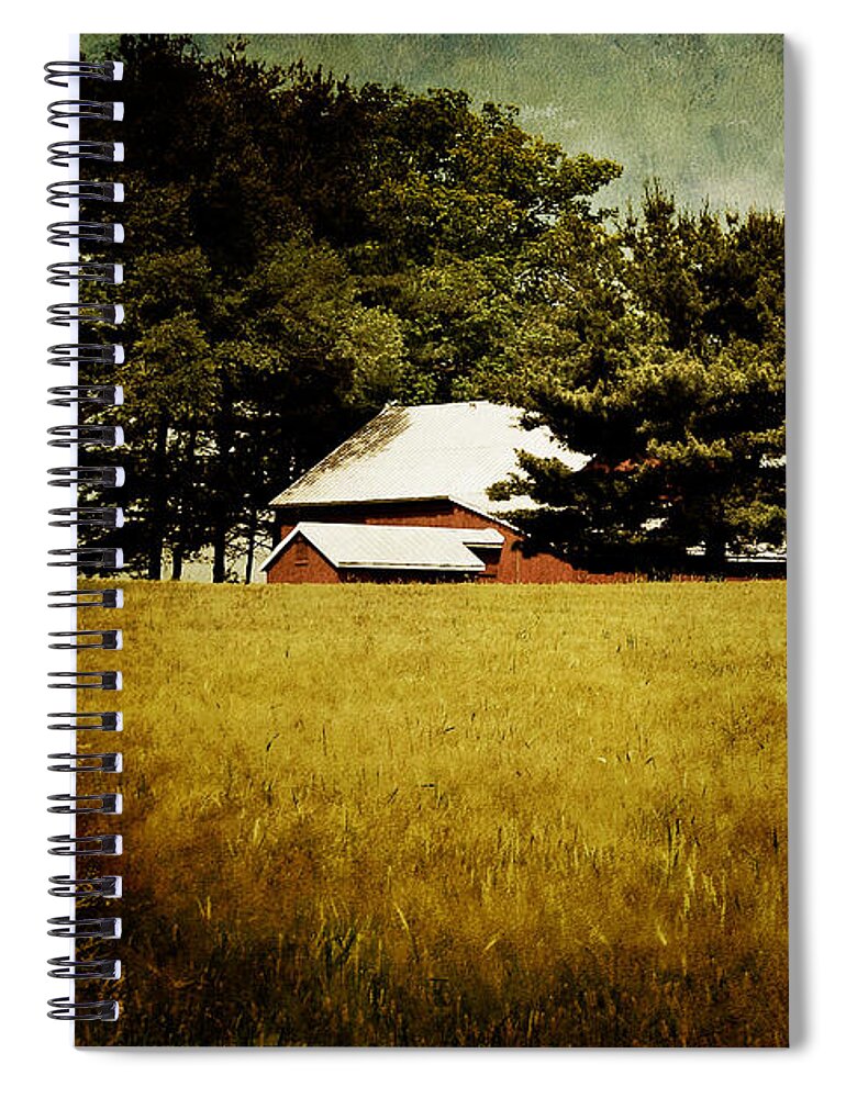 Barn Spiral Notebook featuring the photograph Quiet by Lois Bryan