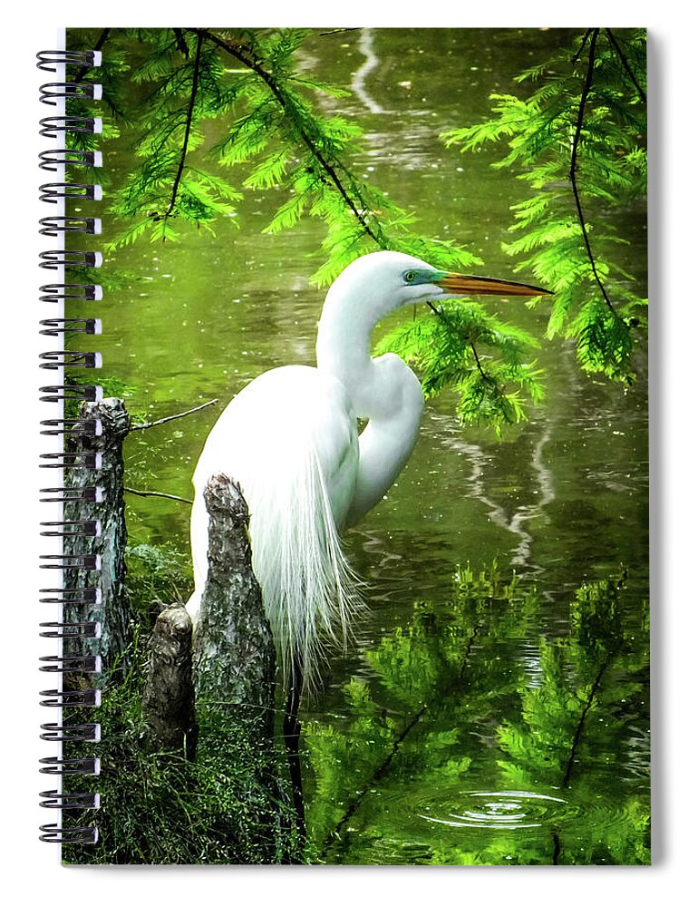 Coastal Egrets Spiral Notebook featuring the photograph QUIET MOMENTS of ELEGANCE by Karen Wiles