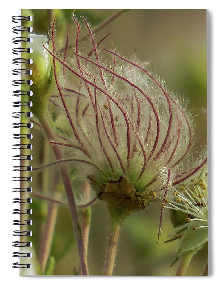 Red Spiral Notebook featuring the photograph Quirky Red Squiggly Flower 2 by Christy Garavetto