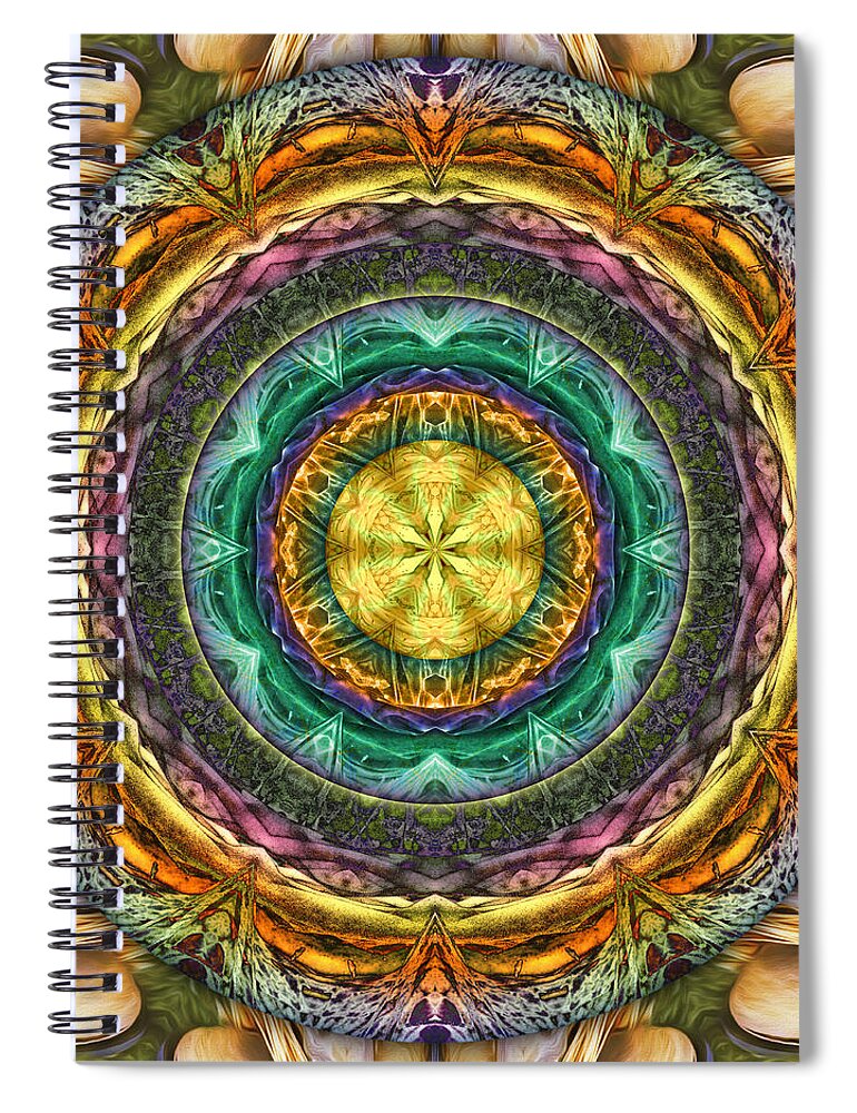 Mandalas From Trash Spiral Notebook featuring the digital art Ragtime Two-Step by Becky Titus