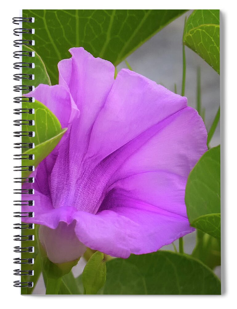 Railroad Spiral Notebook featuring the photograph Railroad Vine by Mitch Spence