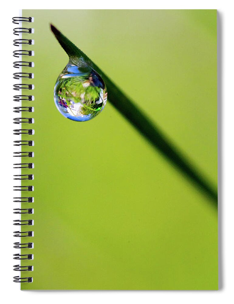 Rain Drop Spiral Notebook featuring the photograph Rain Drop Reflection by Crystal Wightman