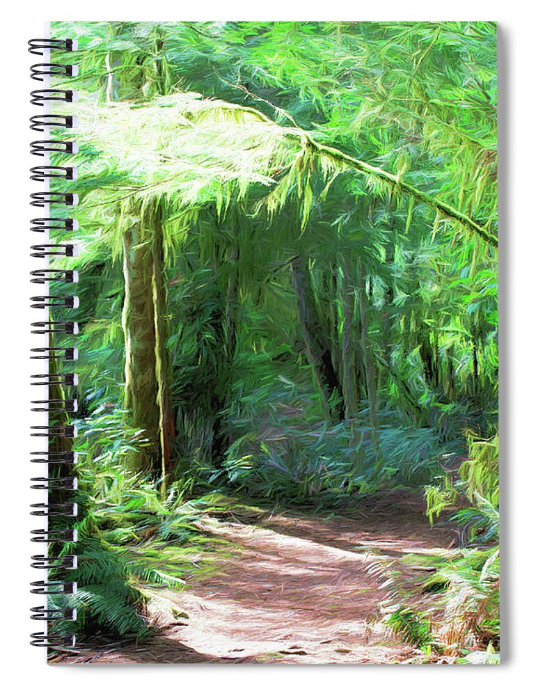 Greeting Card Spiral Notebook featuring the photograph Rain Forest Trail by Allan Van Gasbeck