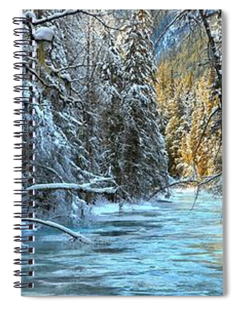 Robson River Spiral Notebook featuring the photograph Rain Forest Winter by Adam Jewell