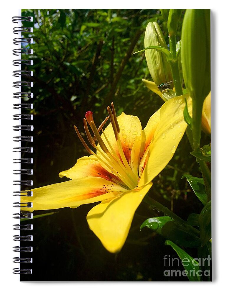 Flower Spiral Notebook featuring the photograph Rain Kissed Tiger Lily by CAC Graphics