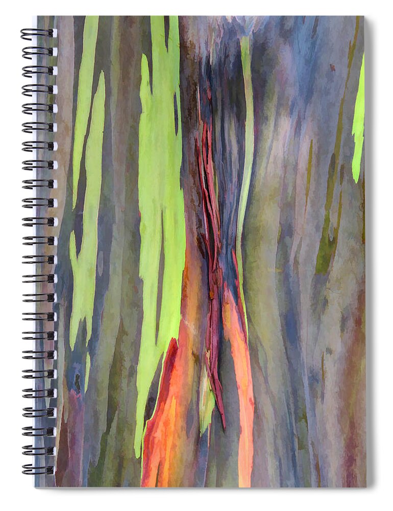 Hawaii Spiral Notebook featuring the photograph Rainbow Eucalyptus 13 by Dawn Eshelman