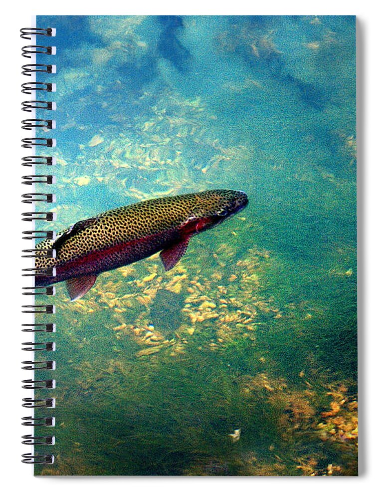 Fish Spiral Notebook featuring the photograph Rainbow Trout by Marty Koch