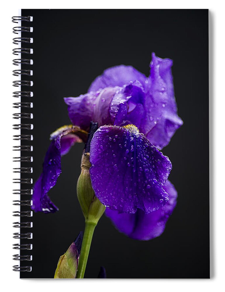 Flower Spiral Notebook featuring the photograph Raindrops on Iris by Karen Slagle