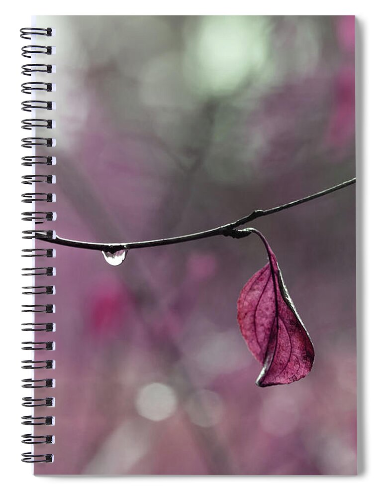 Pink Nature Art Spiral Notebook featuring the photograph Raspberry Pink Leaf and Raindrops by Brooke T Ryan