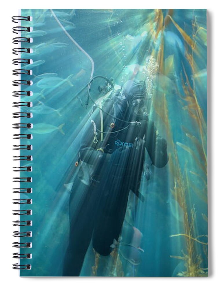 Fish Spiral Notebook featuring the photograph Ray of Light Diver Underwater by Chuck Kuhn
