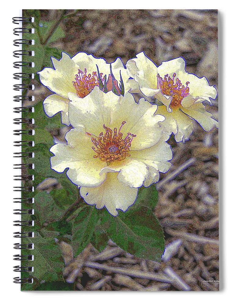 Rose Spiral Notebook featuring the digital art r.'Dairy Maid' 28182p by Brian Gryphon