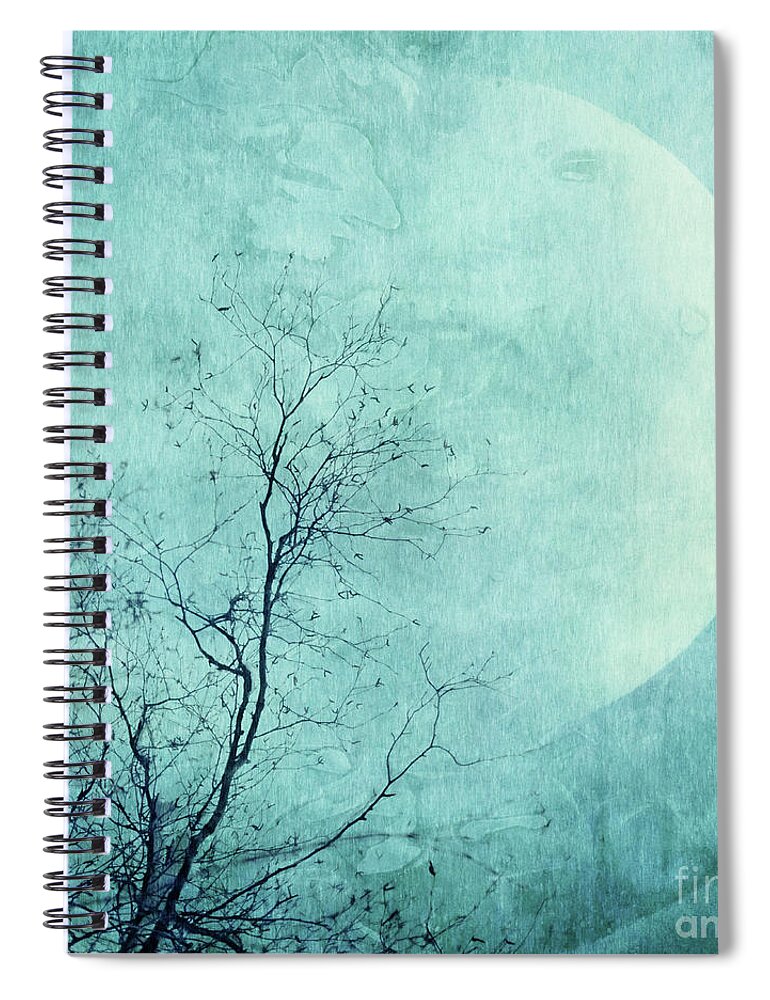 Moon Spiral Notebook featuring the photograph Reach for the moon by Priska Wettstein