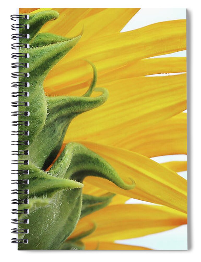 Reaching Spiral Notebook featuring the photograph Reaching For The Sky by Brian Gustafson
