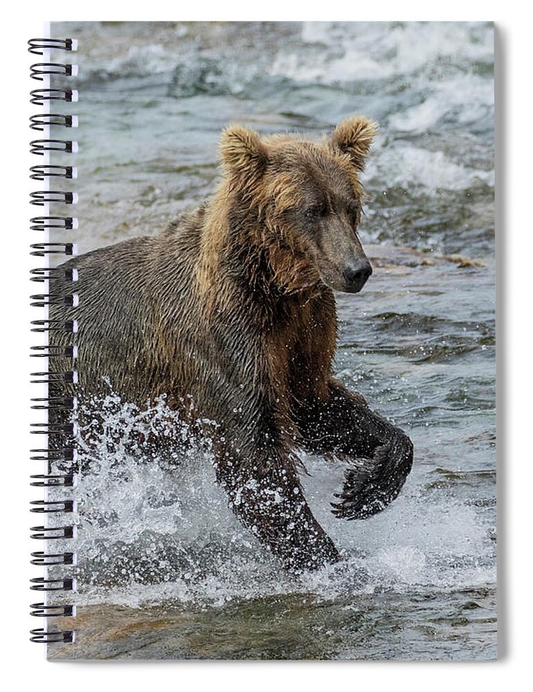 Alaska Spiral Notebook featuring the photograph Ready for Action by Cheryl Strahl