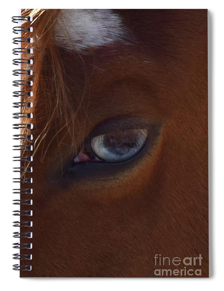 Barrieloustark Spiral Notebook featuring the photograph Really? by Barrie Stark