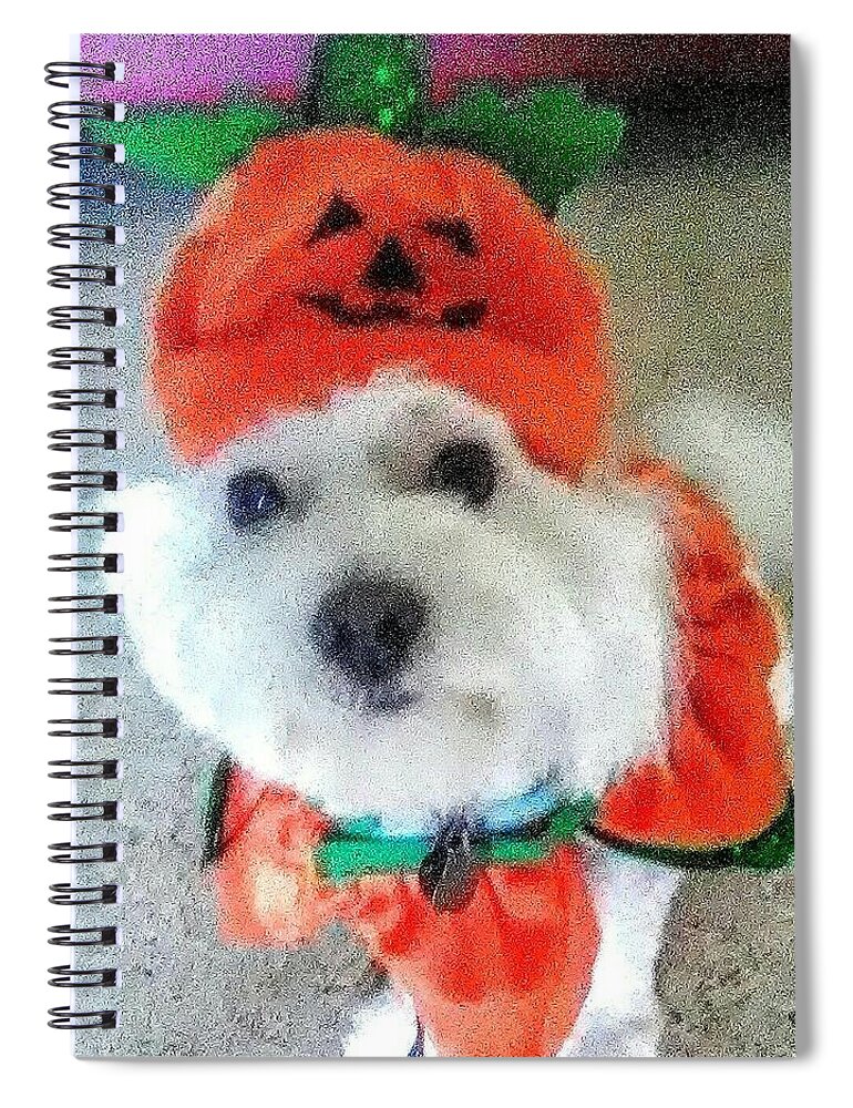 Coton De Tulear Spiral Notebook featuring the photograph Really Halloween by Suzanne Berthier
