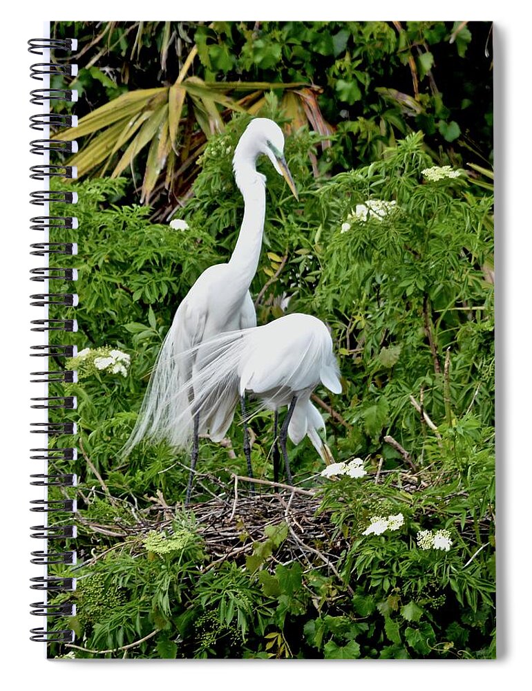 Rookery Spiral Notebook featuring the photograph Rearranging The Nest by Carol Bradley
