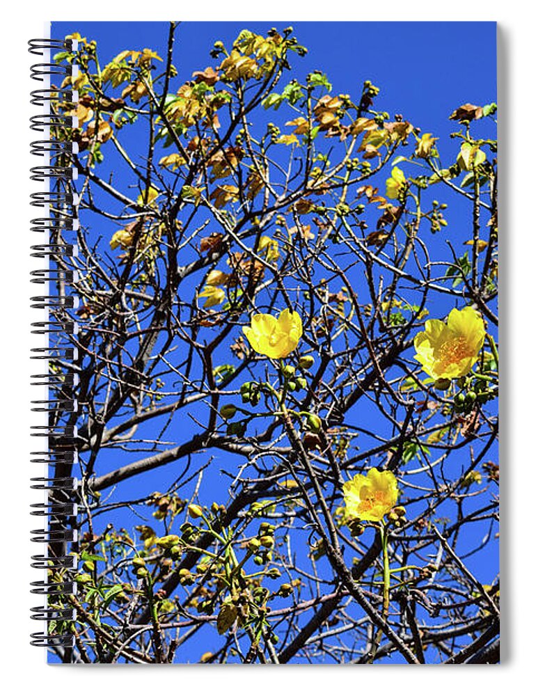 Flower Spiral Notebook featuring the photograph Rebirth by Nicole Lloyd