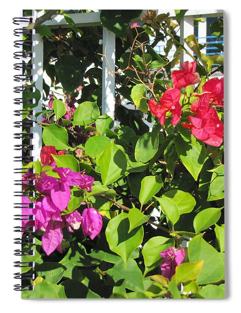 Flowers Spiral Notebook featuring the photograph Red and Purple flowers by Michelle Powell