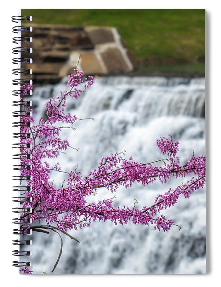 Cercis Canadensi Spiral Notebook featuring the photograph RedBud at Devils Den by James Barber